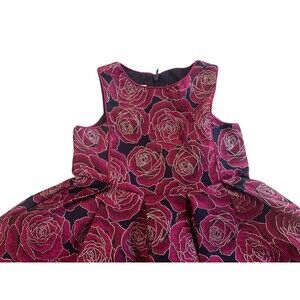 Pippa & Julie Dress Girls 4 Black Pink Rose Floral Metallic Jacquard Party Tulle